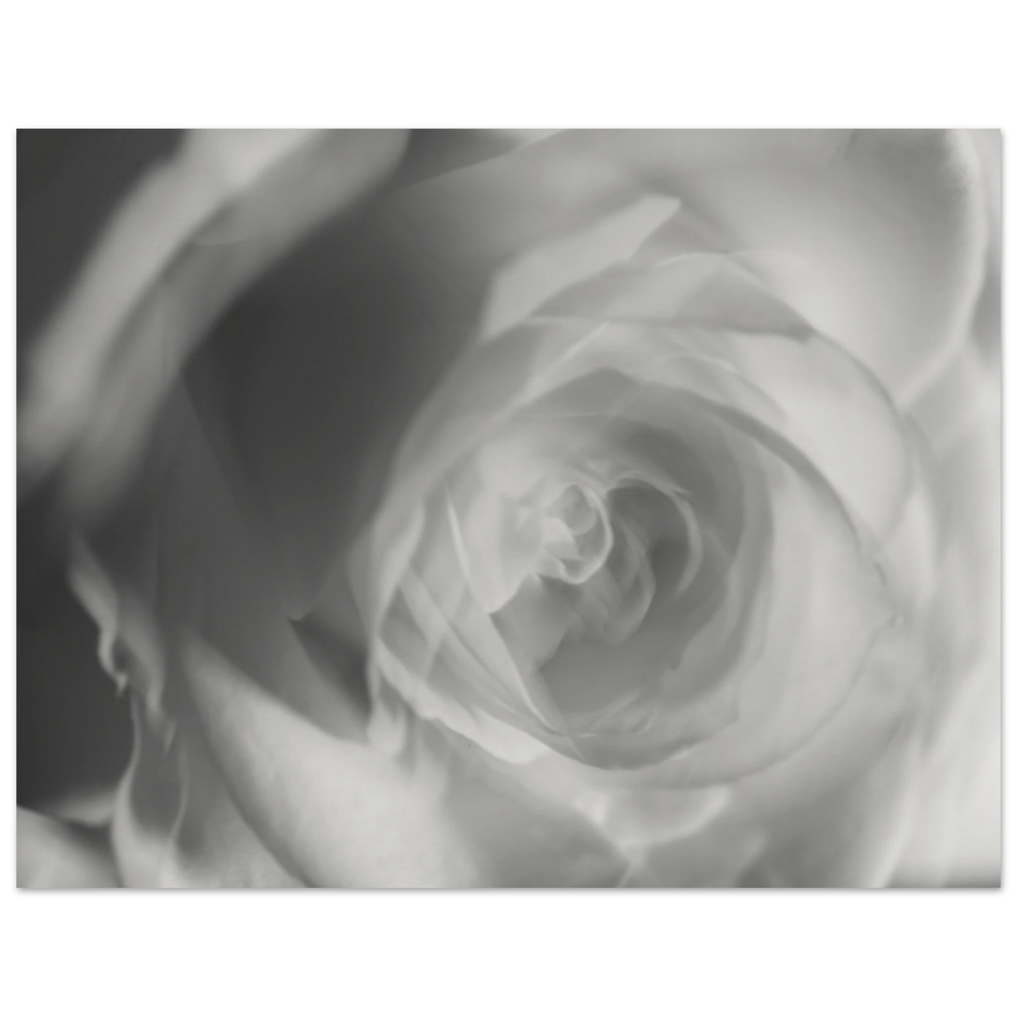 b6e7b7db-f038-452b-a18f-dcfe961a131f