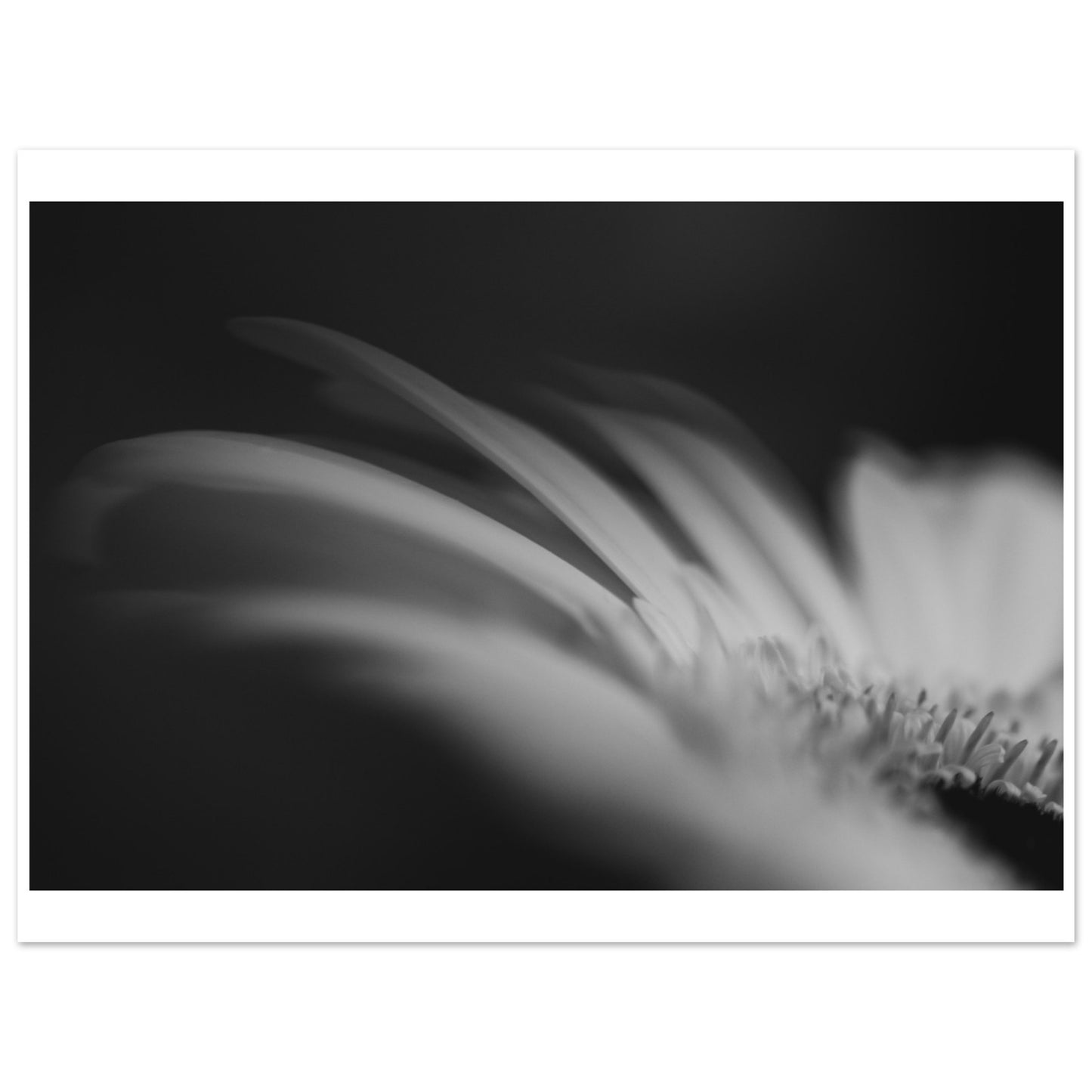 b6eca8e9-2679-42cb-b719-15e929005285