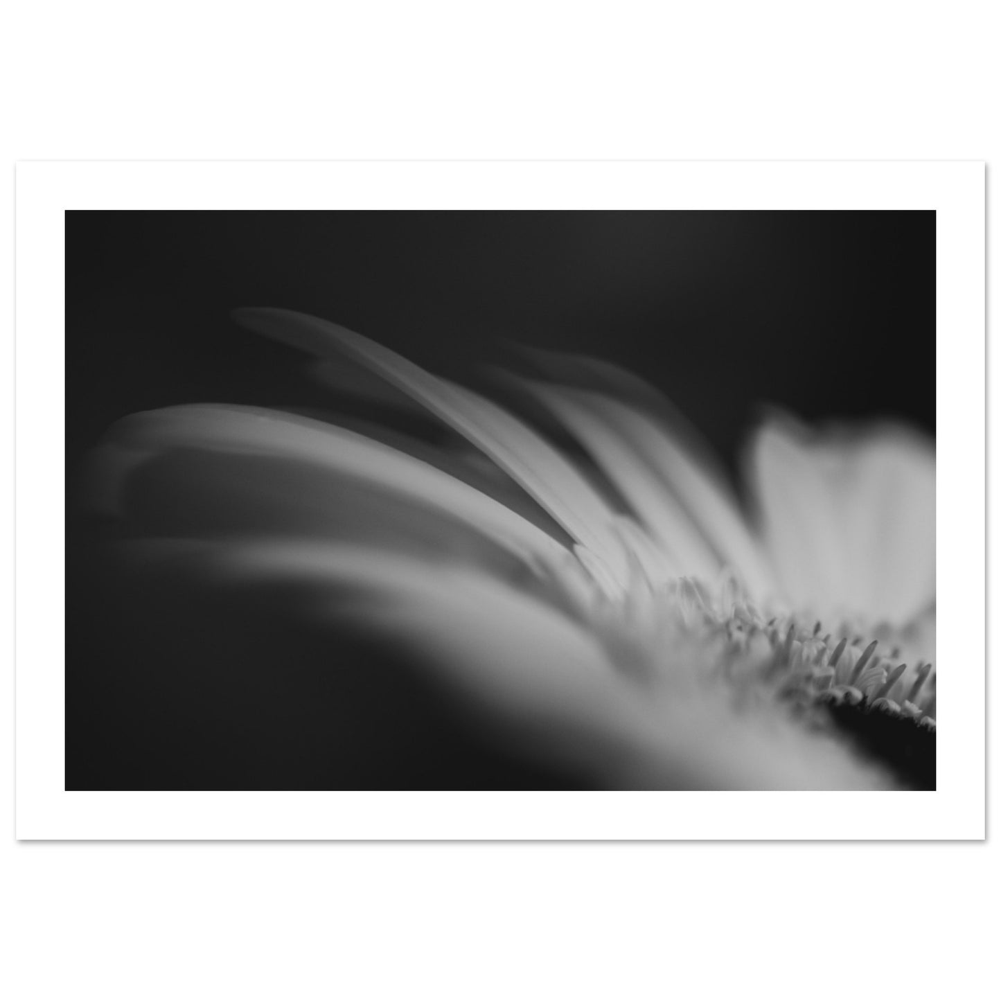 d017527f-11e0-492f-bd60-ddeb556747cc