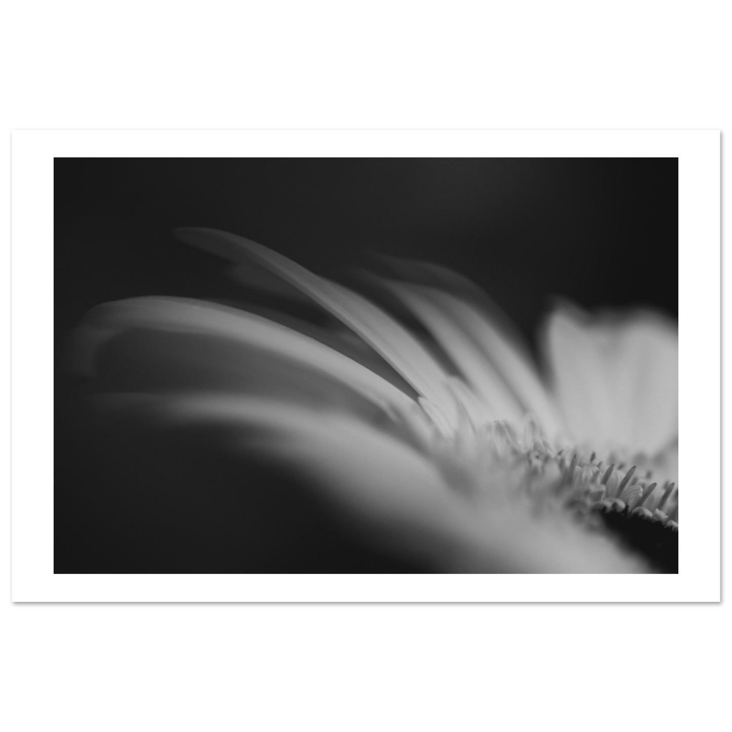 10423ce5-eb18-4445-bf0a-24c94e966cd7