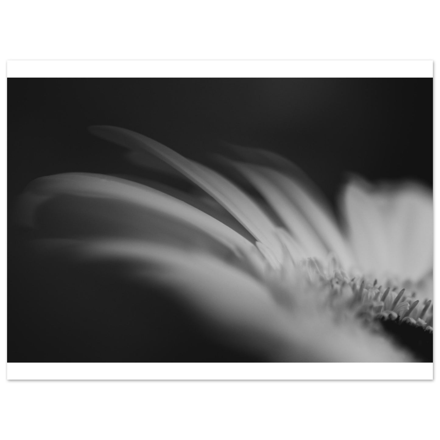 ca83a755-b5c1-4ef0-8625-7acd8f82d74c